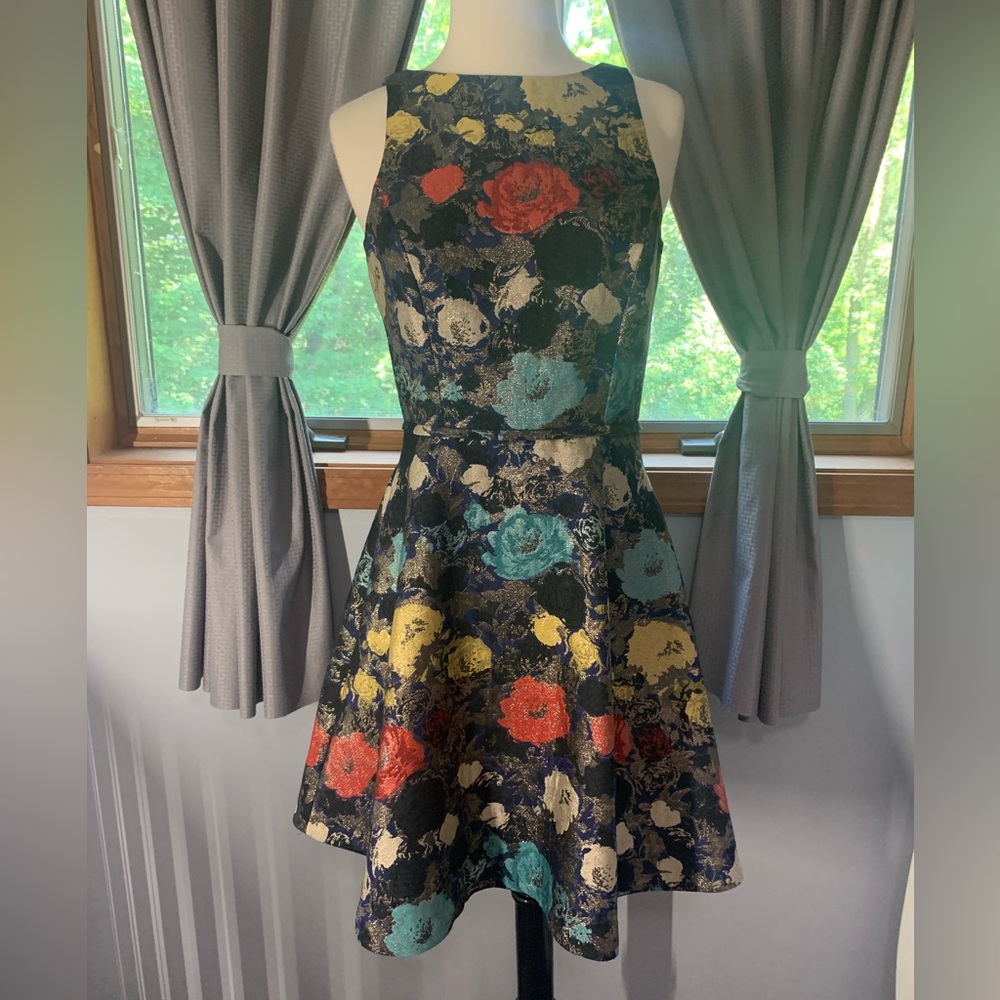 Tahari Special Occasion Dress size 2P